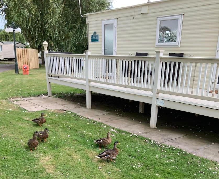 Winthorpe Springs Southview Skegnessアパートメント エクステリア 写真